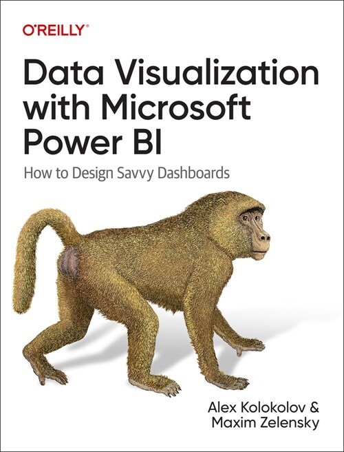 Data Visualization with Microsoft Power Bi (Paperback)