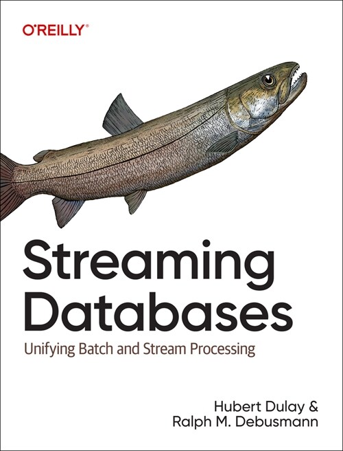 Streaming Databases: Building Real-Time, User-Facing Solutions (Paperback)
