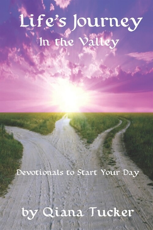 Lifes Journey: In the Valley (Paperback)
