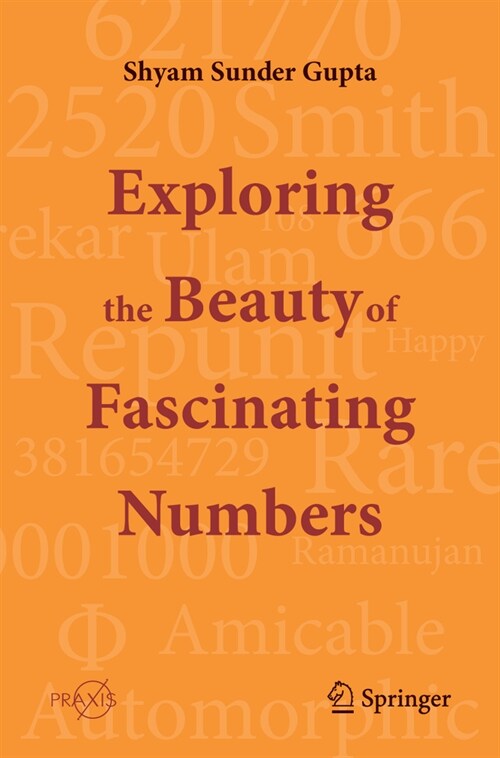 Exploring the Beauty of Fascinating Numbers (Paperback, 2024)