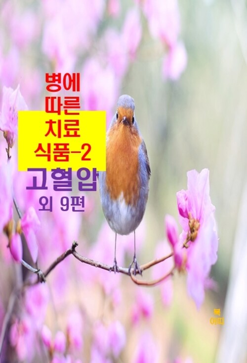 병에 따른 치료식품 02