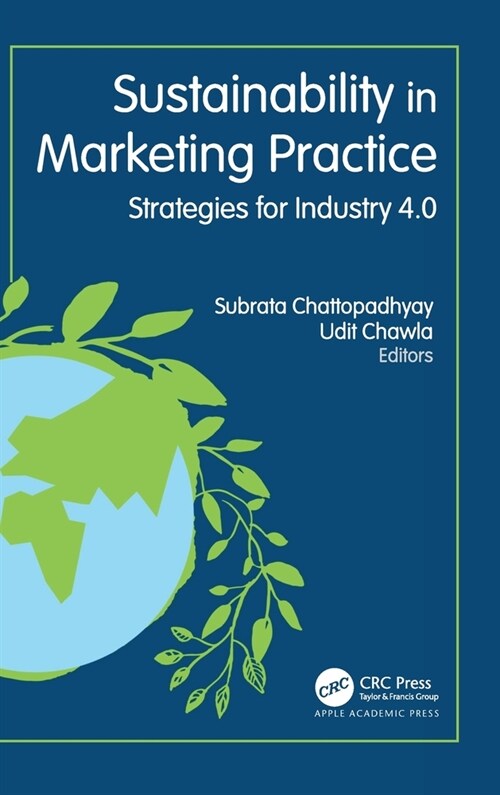 Sustainability in Marketing Practice: Strategies for Industry 4.0 (Hardcover)
