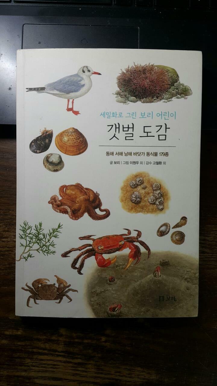 [중고] 세밀화로 그린 보리 어린이 갯벌 도감 (보급판)