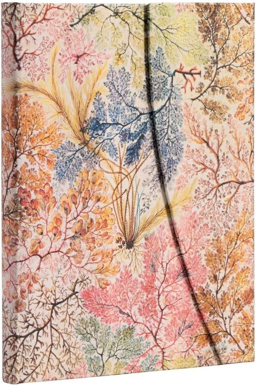 Paperblanks | Anemone | William Kilburn | Hardcover | Ultra | Lined (180 x 230 mm)