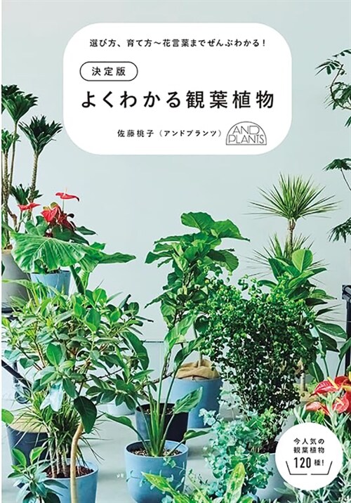 決定版 よくわかる觀葉植物