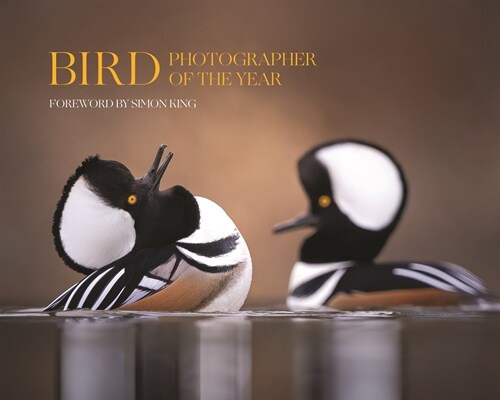 Bird Photographer of the Year: Collection 9 (Hardcover)