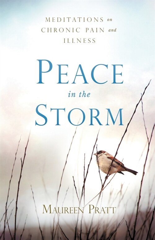 Peace in the Storm: Meditations on Chronic Pain and Illness (Paperback)