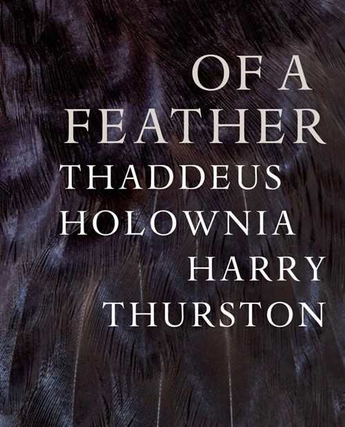 Of a Feather (Paperback)