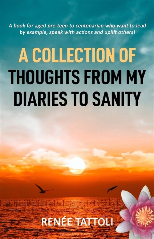 A Collection of Thoughts from My Diaries to Sanity (Paperback)