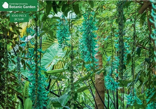 Jade Vine 1000 Piece Jigsaw Puzzle: Cambridge University Botanic Garden (Hardcover)