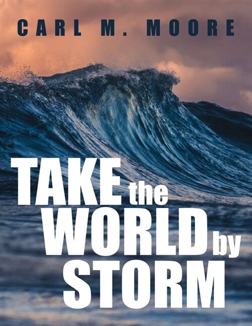 Take the World by Storm (Paperback)