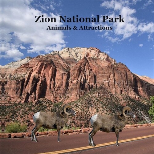 Zion National Park Animals and Attractions Kids Book: Great Way for Children to See Zion National Park (Paperback)