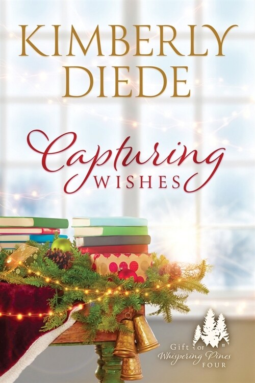 Capturing Wishes (Paperback, 2)