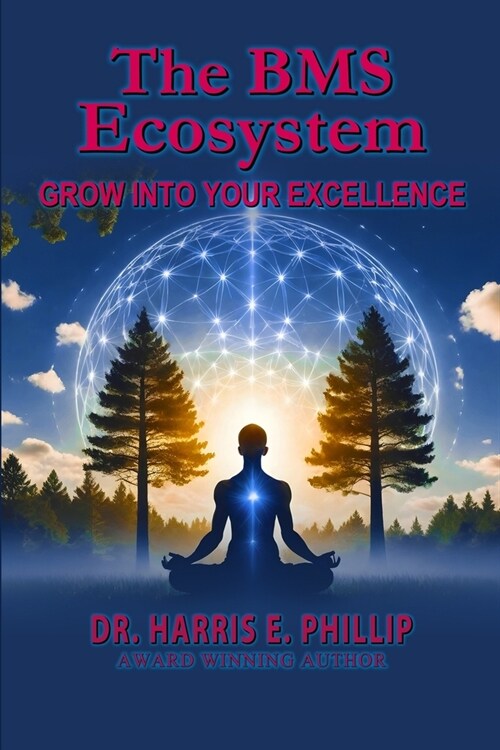 The BMS Ecosystem: Grow Into Your Excellence (Paperback)