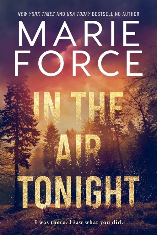 In the Air Tonight (Paperback)