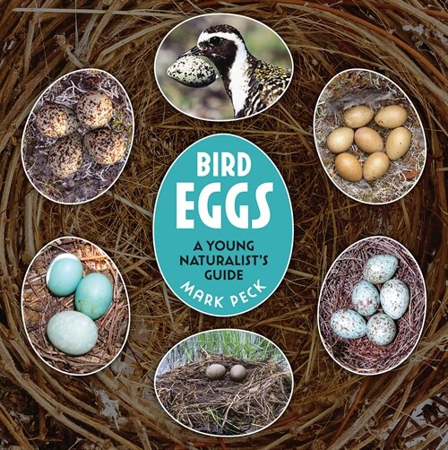 Bird Eggs: A Young Naturalists Guide (Hardcover)