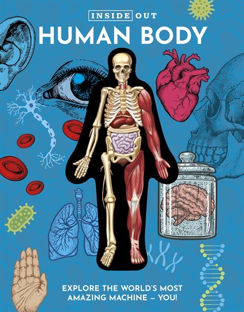 Inside Out Human Body: Explore the Worlds Most Amazing Machine - You! (Hardcover)