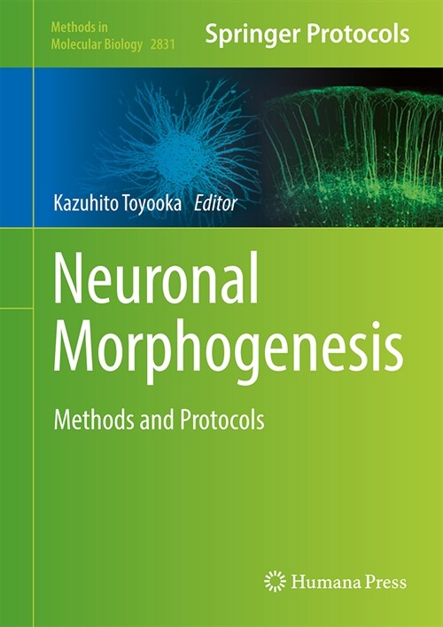 Neuronal Morphogenesis: Methods and Protocols (Hardcover, 2024)
