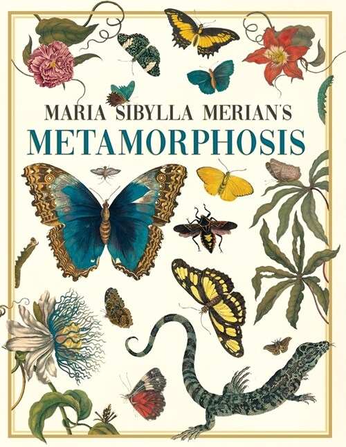 Maria Sibylla Merians Metamorphosis: One Womans Discovery of the Transformation of Butterflies and Insects (Paperback)