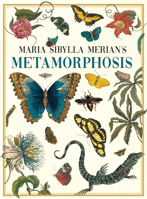 Maria Sibylla Merians Metamorphosis: One Womans Discovery of the Transformation of Butterflies and Insects (Hardcover)