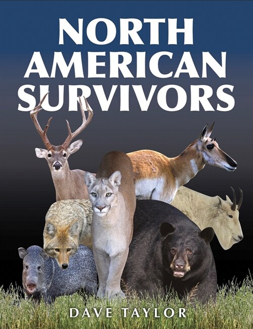 North American Survivors (Paperback)
