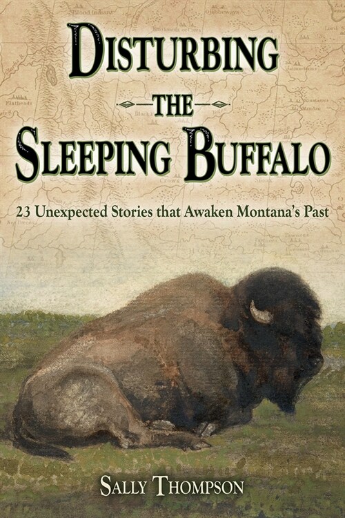 Disturbing the Sleeping Buffalo (Paperback)