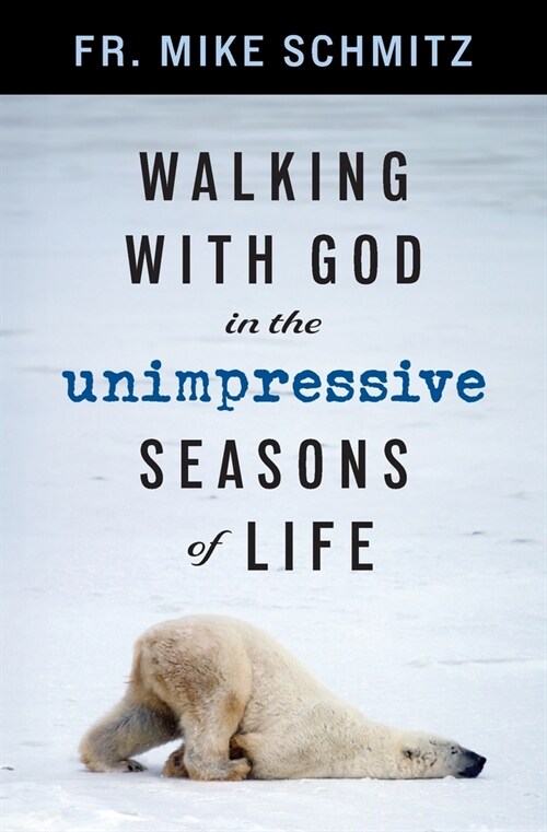 Walking with God in the Unimpressive Seasons of Life (Paperback)