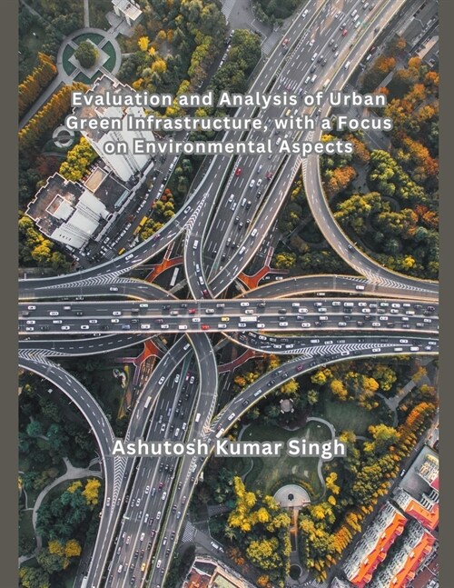 Evaluation and Analysis of Urban Green Infrastructure, with a Focus on Environmental Aspects (Paperback)