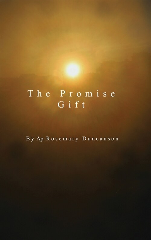 The Promise Gift (Hardcover)