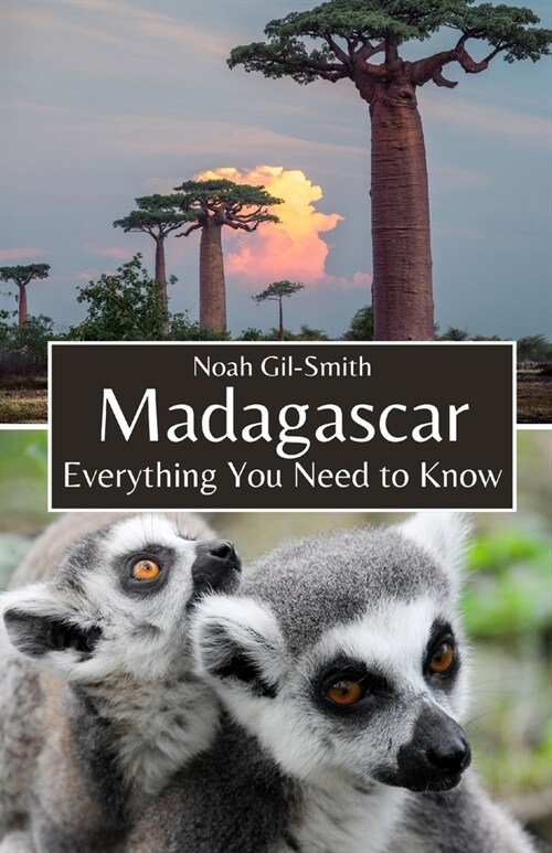 Madagascar: Everything You Need to Know (Paperback)