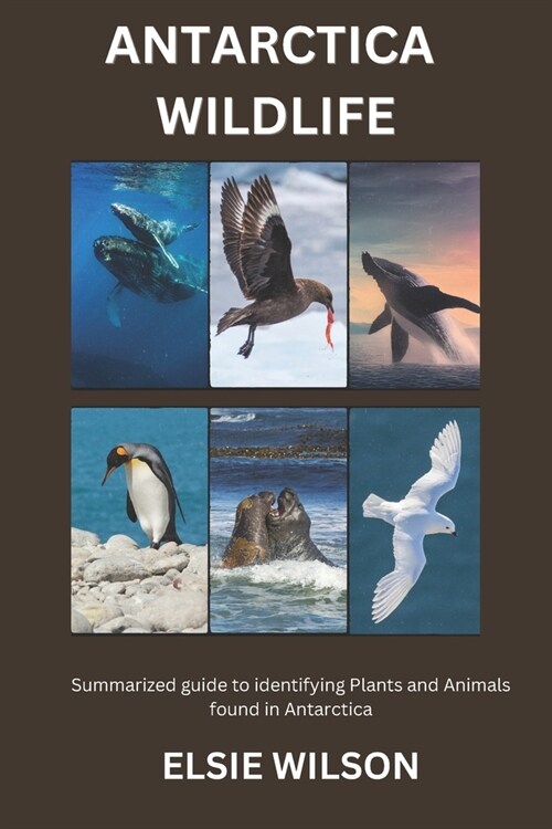 Antarctica Wildlife: Guide to Identifying Wildlife found in Antarctica (Paperback)