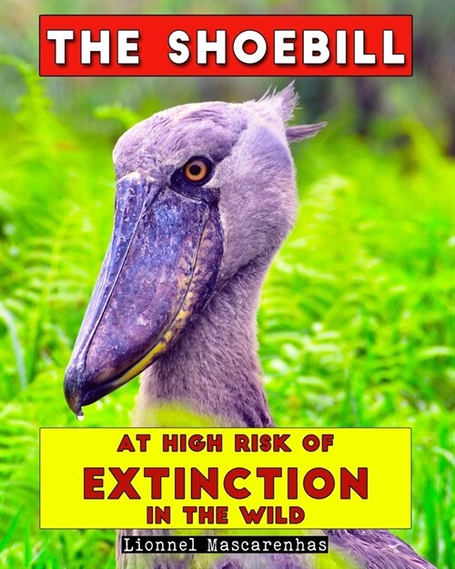 The Shoebill: At high risk of extinction in the wild (Paperback)