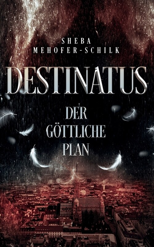 Destinatus: Der g?tliche Plan (Paperback)