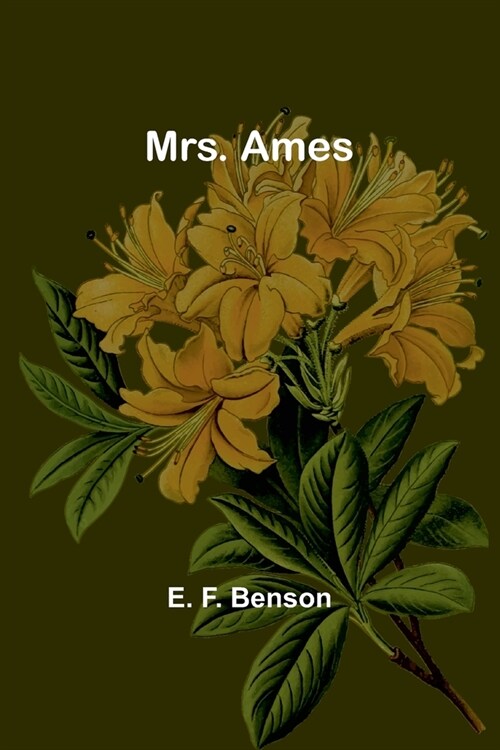 Mrs. Ames (Paperback)
