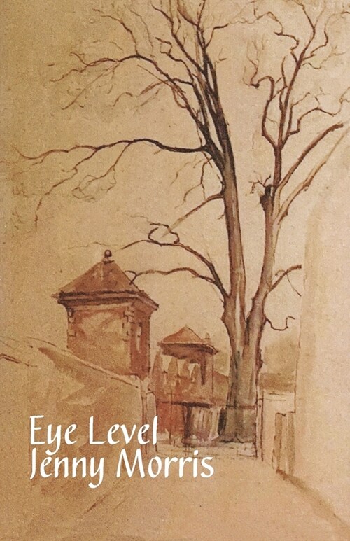 Eye Level (Paperback)