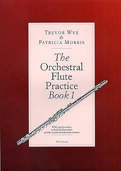 [중고] The Orchestral Flute Practice, Book 1 (Paperback)