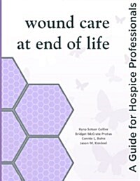 Wound Care at End of Life: A Guide for Hospice Professionals (Paperback)