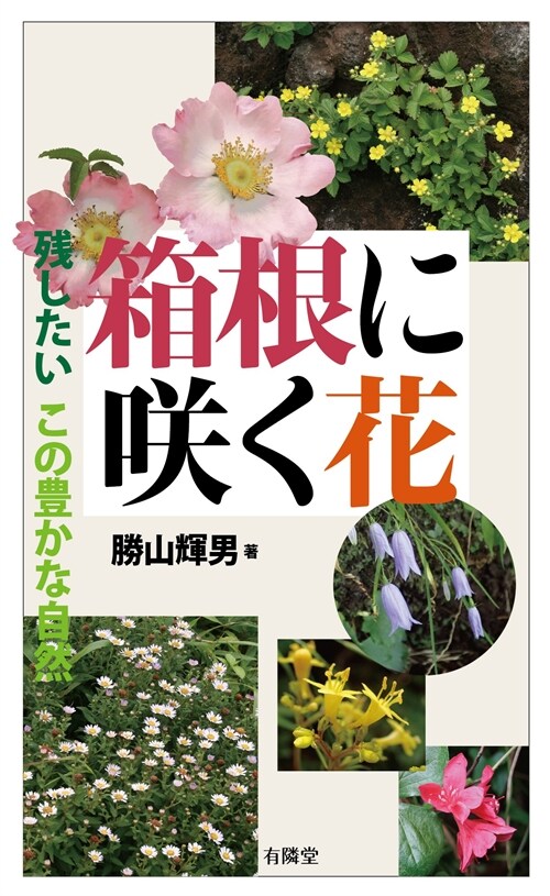 箱根に笑く花