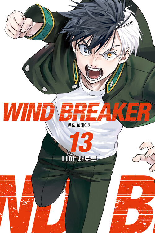 [고화질] WIND BREAKER 13