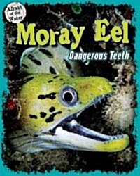 Moray Eel: Dangerous Teeth (Library Binding)