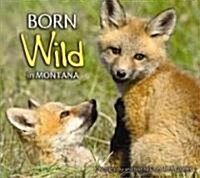 Born Wild in Montana (Paperback)