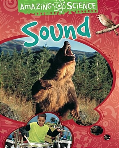 Amazing Science: Sound (Paperback)