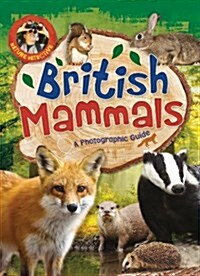 Nature Detective: British Mammals (Paperback)
