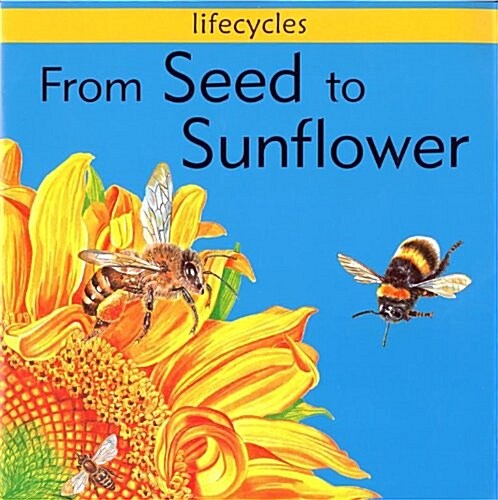 Lifecycles: From Seed To Sunflower (Paperback)