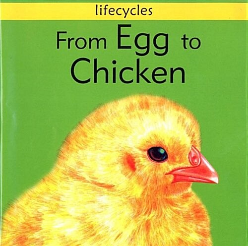 Lifecycles: From Egg To Chicken (Paperback)