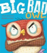 Big, Bad Owl (Paperback)
