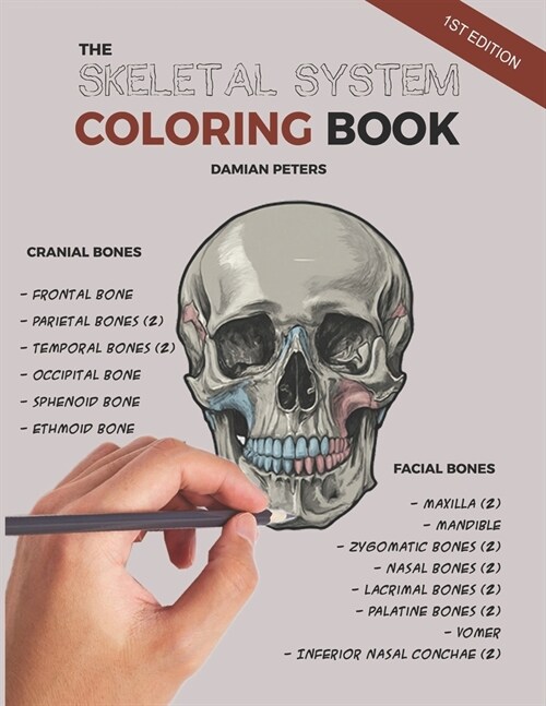 The Skeletal System Coloring Book: A Creative Dive into the Skeletal System (Paperback)