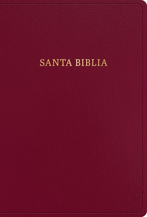 Rvr 1960 Biblia Letra S?er Gigante, Borgo?, Imitaci? Piel (2023 Ed.) (Imitation Leather)