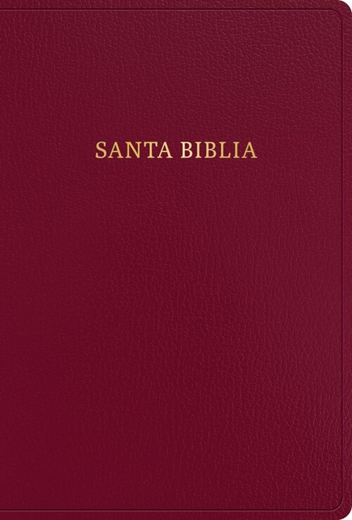 Rvr 1960 Biblia Letra S?er Gigante, Borgo? Imitaci? Piel Con ?dice (Edici? 2023): Con Referencias. Nueva Tipograf? (Imitation Leather, Edicion 2023)