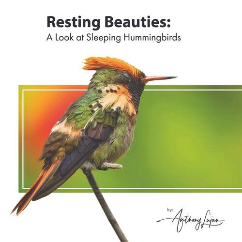 Resting Beauties: A Look at Sleeping Hummingbirds (Paperback)